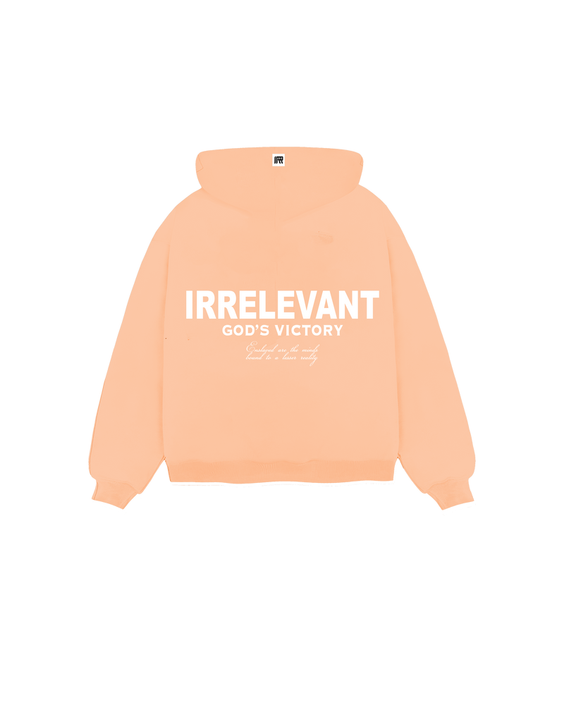 Irrelevant Hoodie