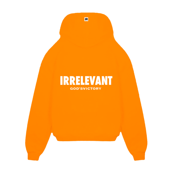 IRRELEVANT 3D EMBROIDERY HOODIE